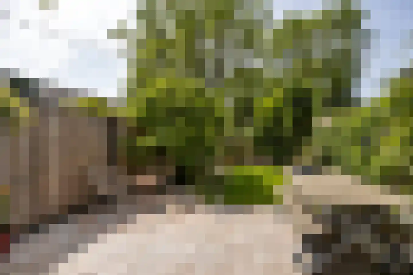 Freesiadal 22 Leiden thumbnail 25