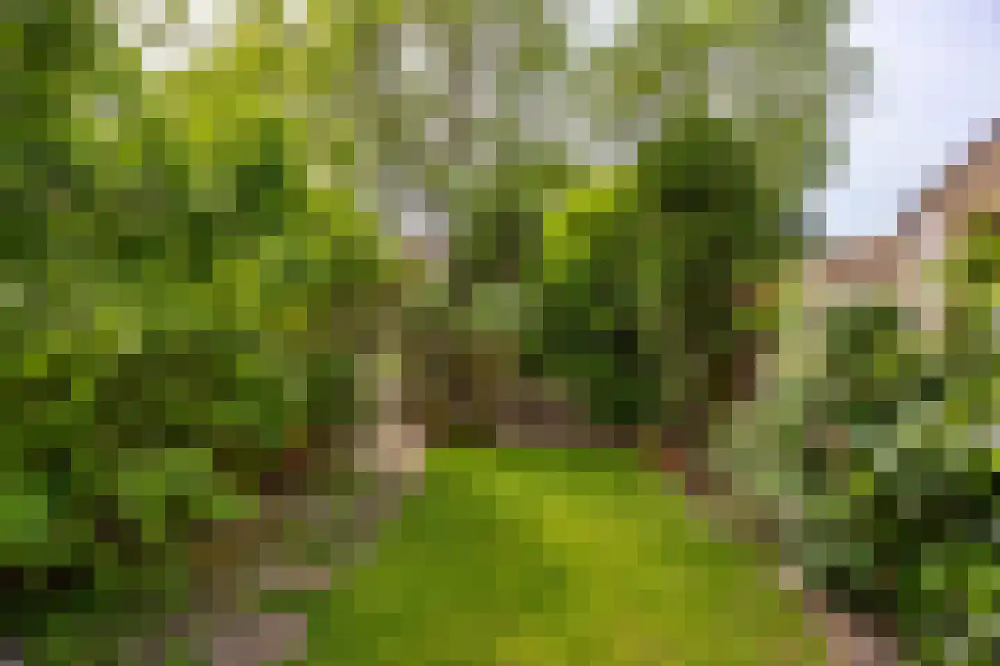 Freesiadal 22 Leiden thumbnail 26