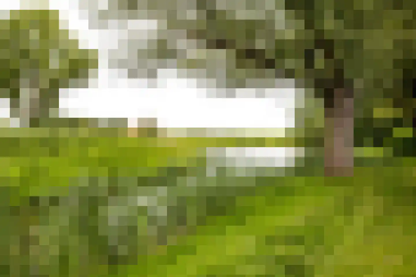 Freesiadal 22 Leiden thumbnail 31