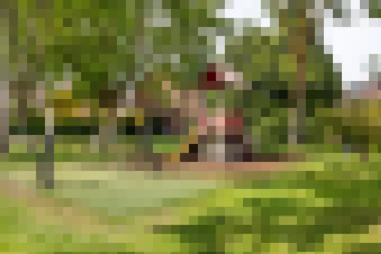 Freesiadal 22 Leiden thumbnail 33