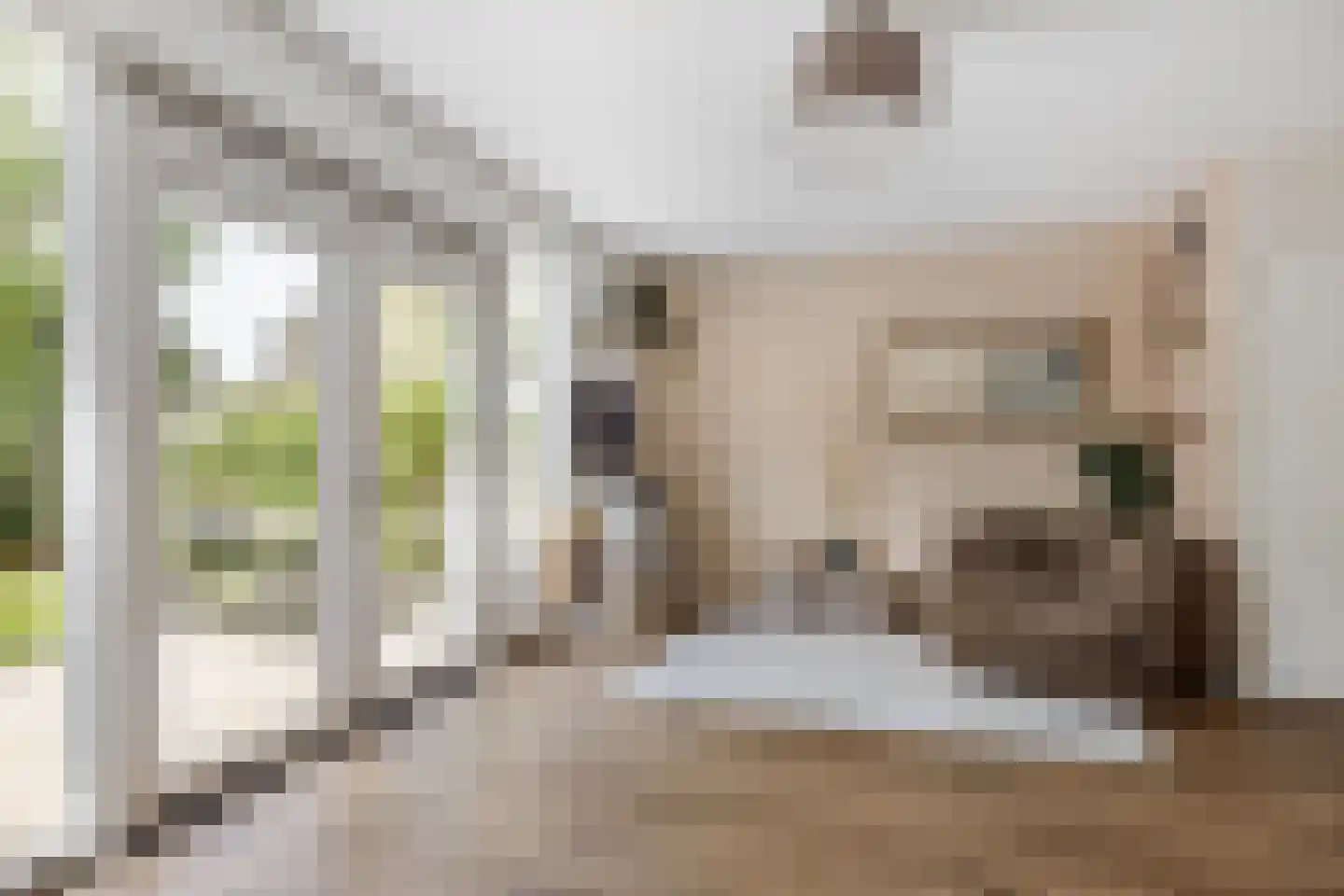 Freesiadal 22 Leiden thumbnail 4