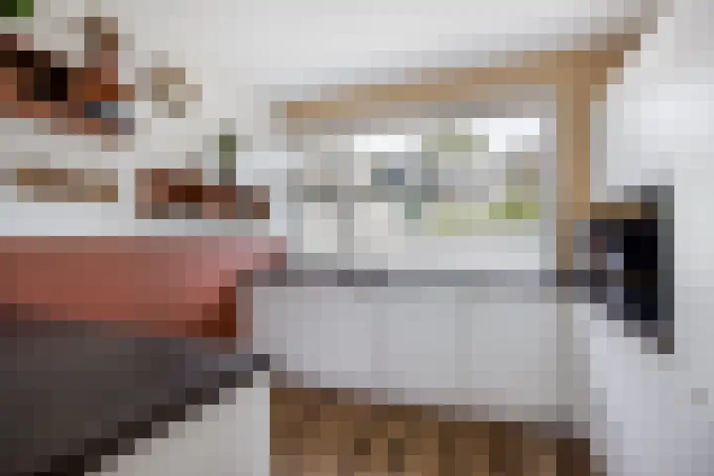 Freesiadal 22 Leiden thumbnail 8