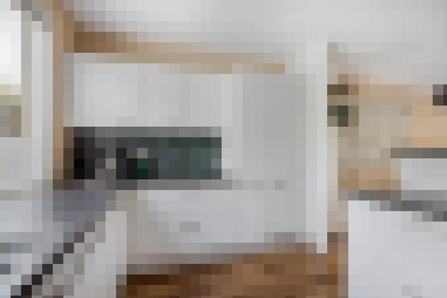 Freesiadal 22 Leiden thumbnail 9