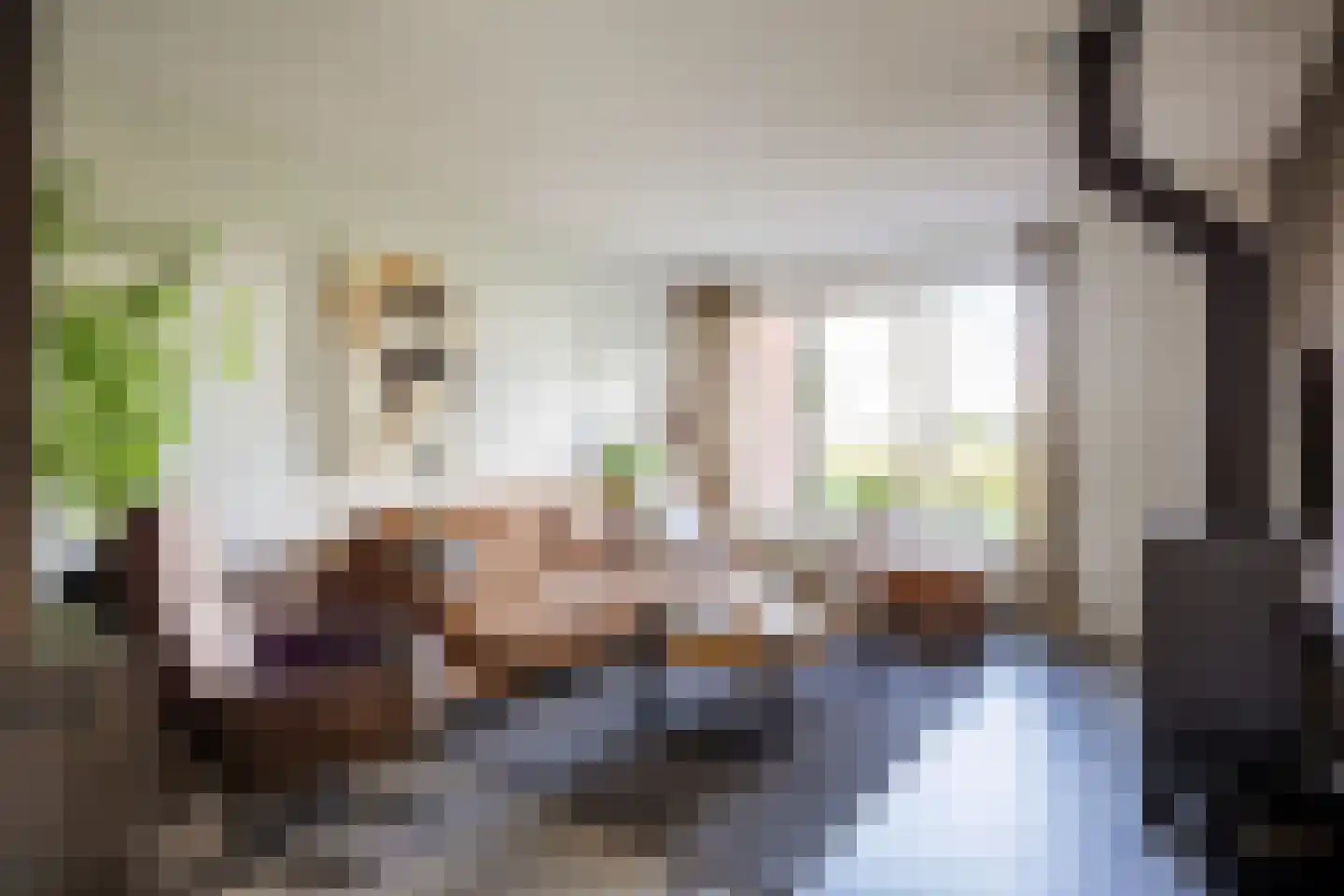 Freesialaan 15 Winsum thumbnail 12