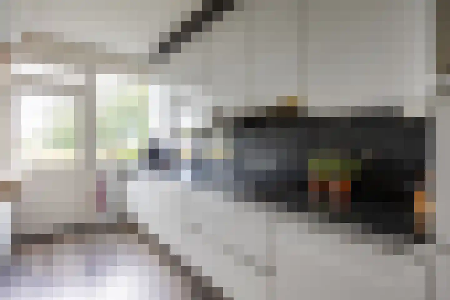 Freesialaan 15 Winsum thumbnail 16