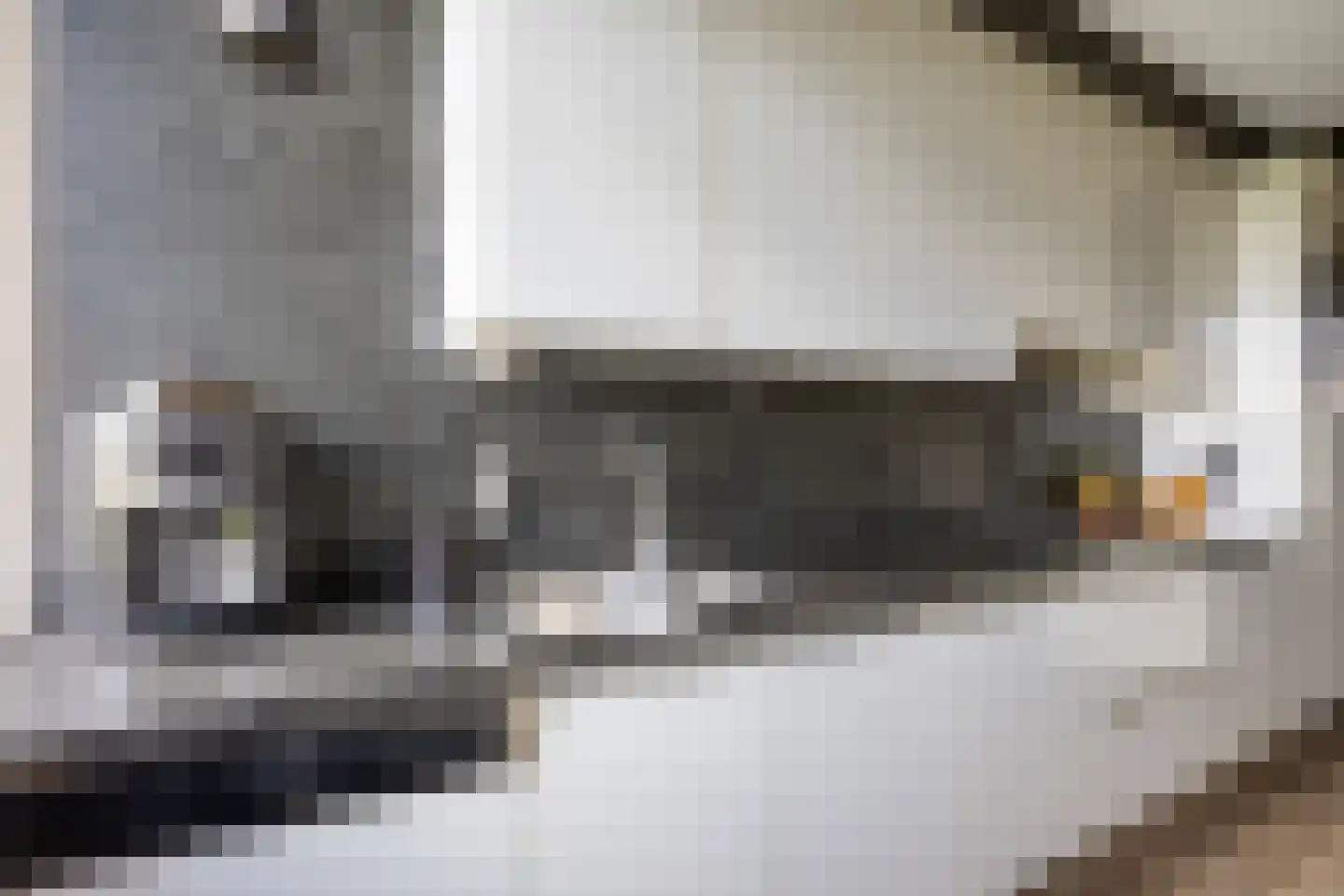 Freesialaan 15 Winsum thumbnail 17