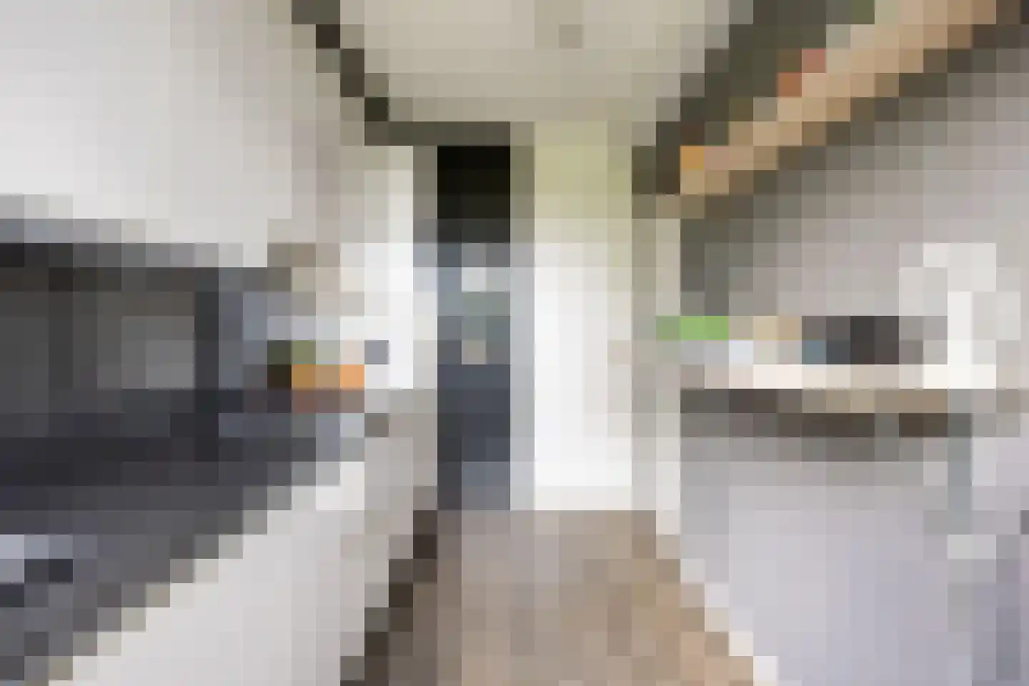 Freesialaan 15 Winsum thumbnail 18