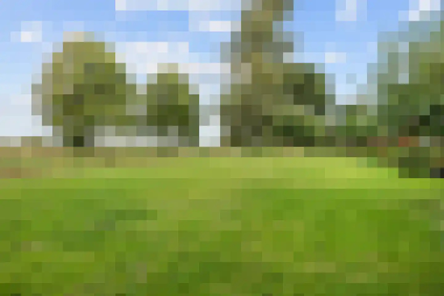 Freesialaan 15 Winsum foto 2