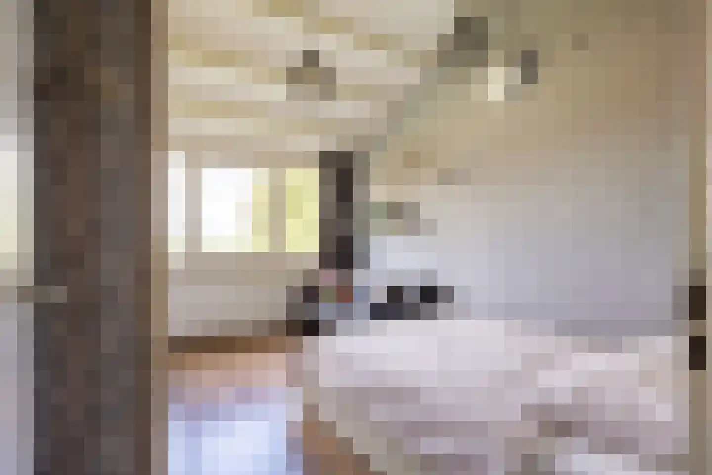 Freesialaan 15 Winsum thumbnail 22