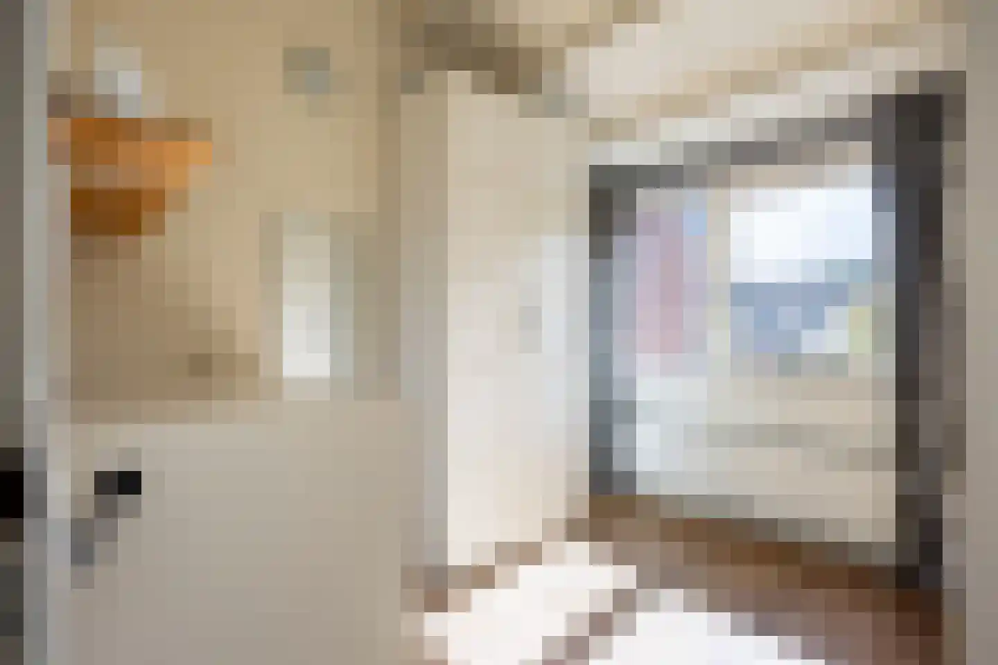 Freesialaan 15 Winsum thumbnail 24