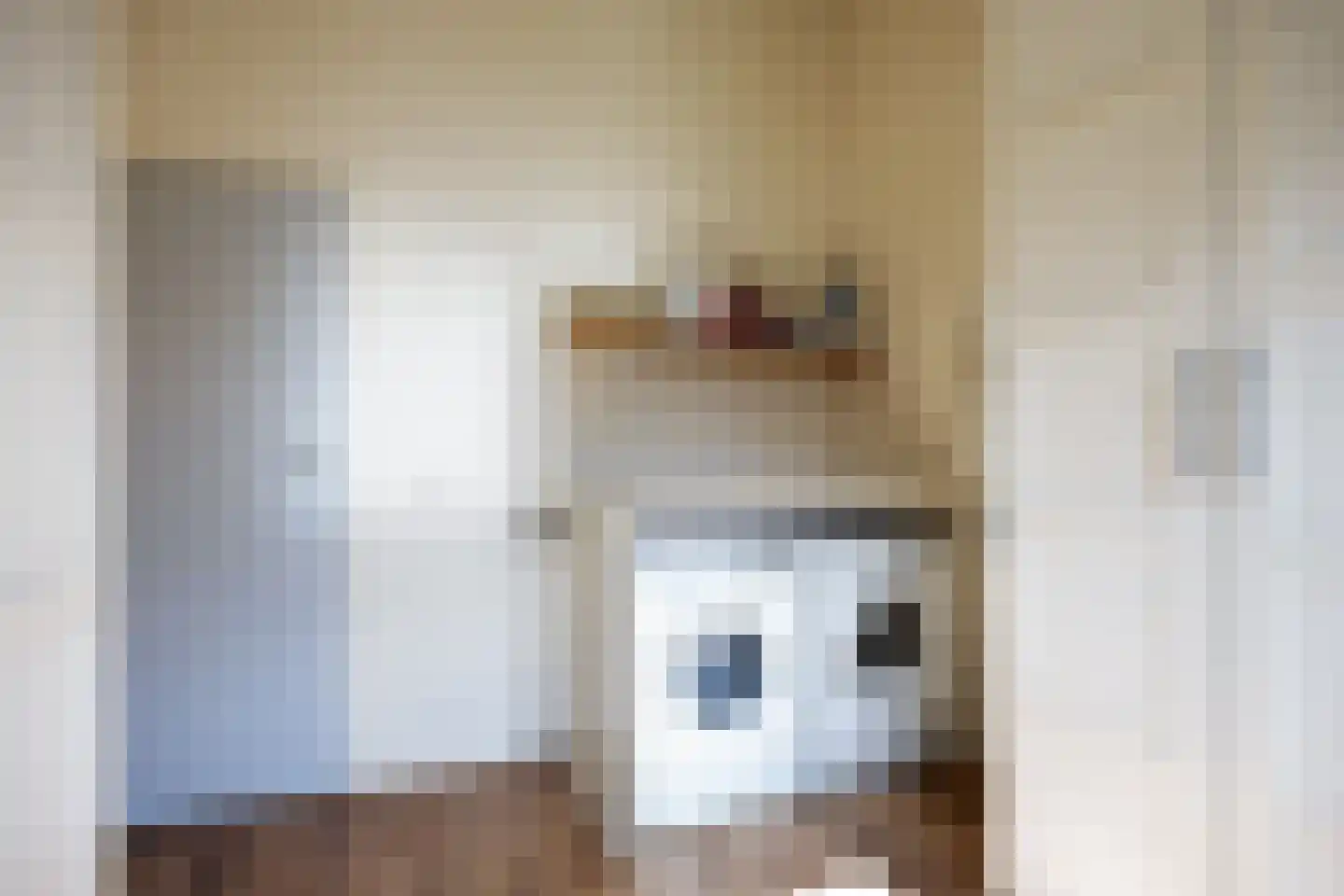 Freesialaan 15 Winsum thumbnail 25