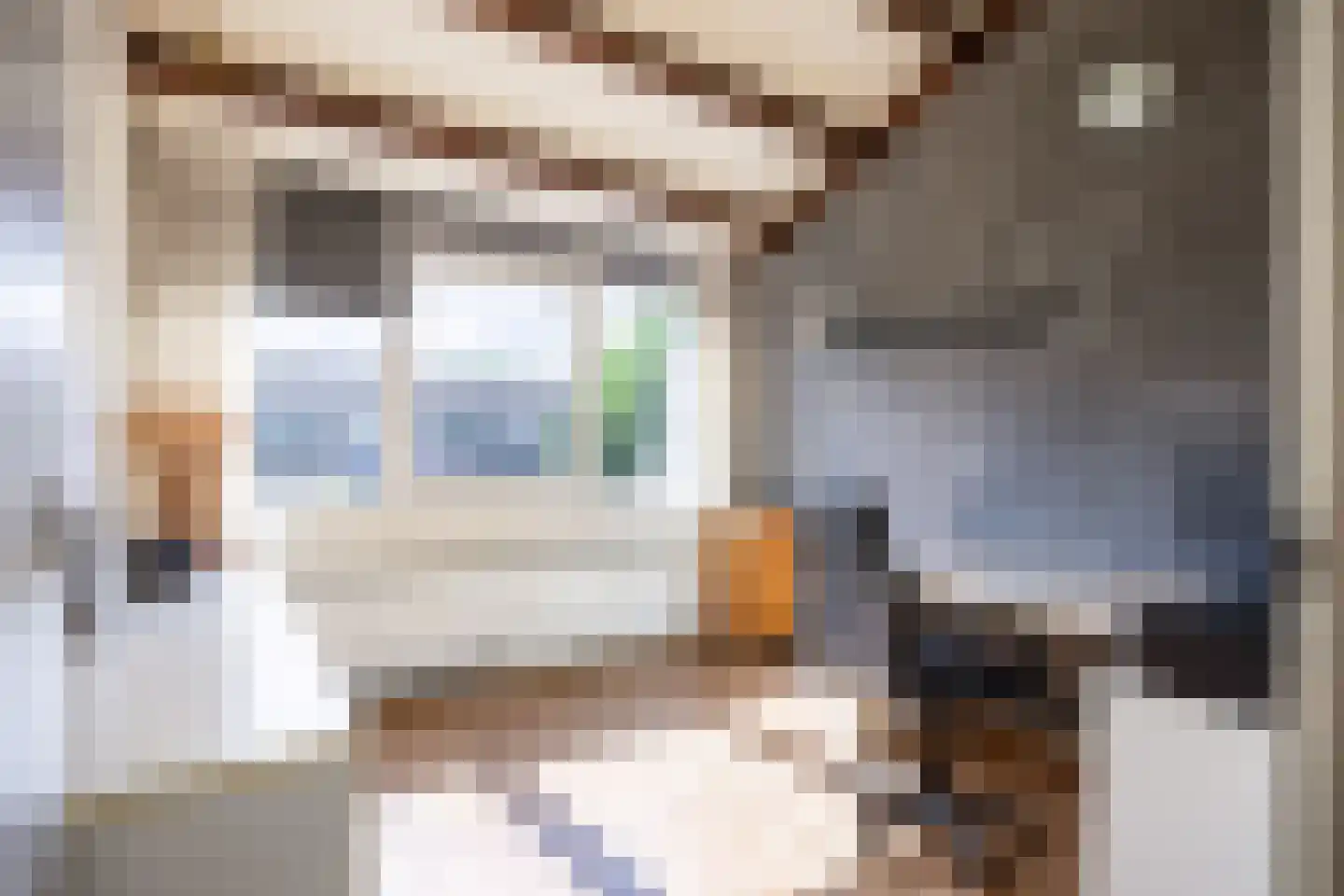 Freesialaan 15 Winsum thumbnail 26