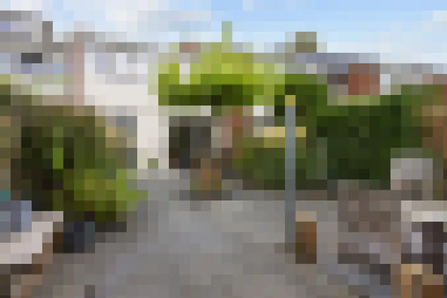 Freesialaan 15 Winsum foto 3