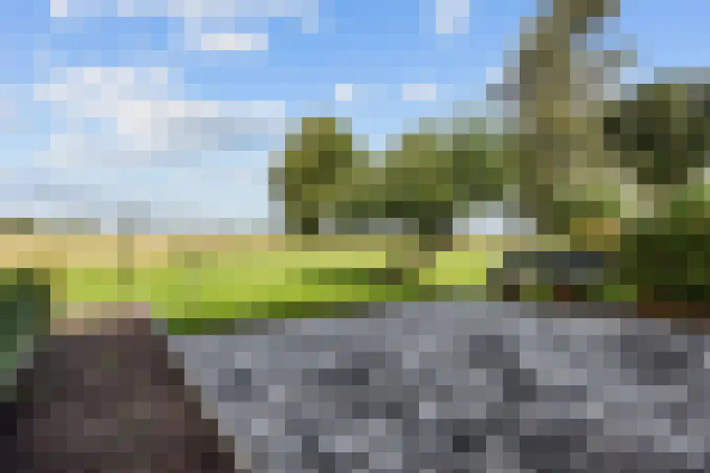Freesialaan 15 Winsum thumbnail 38