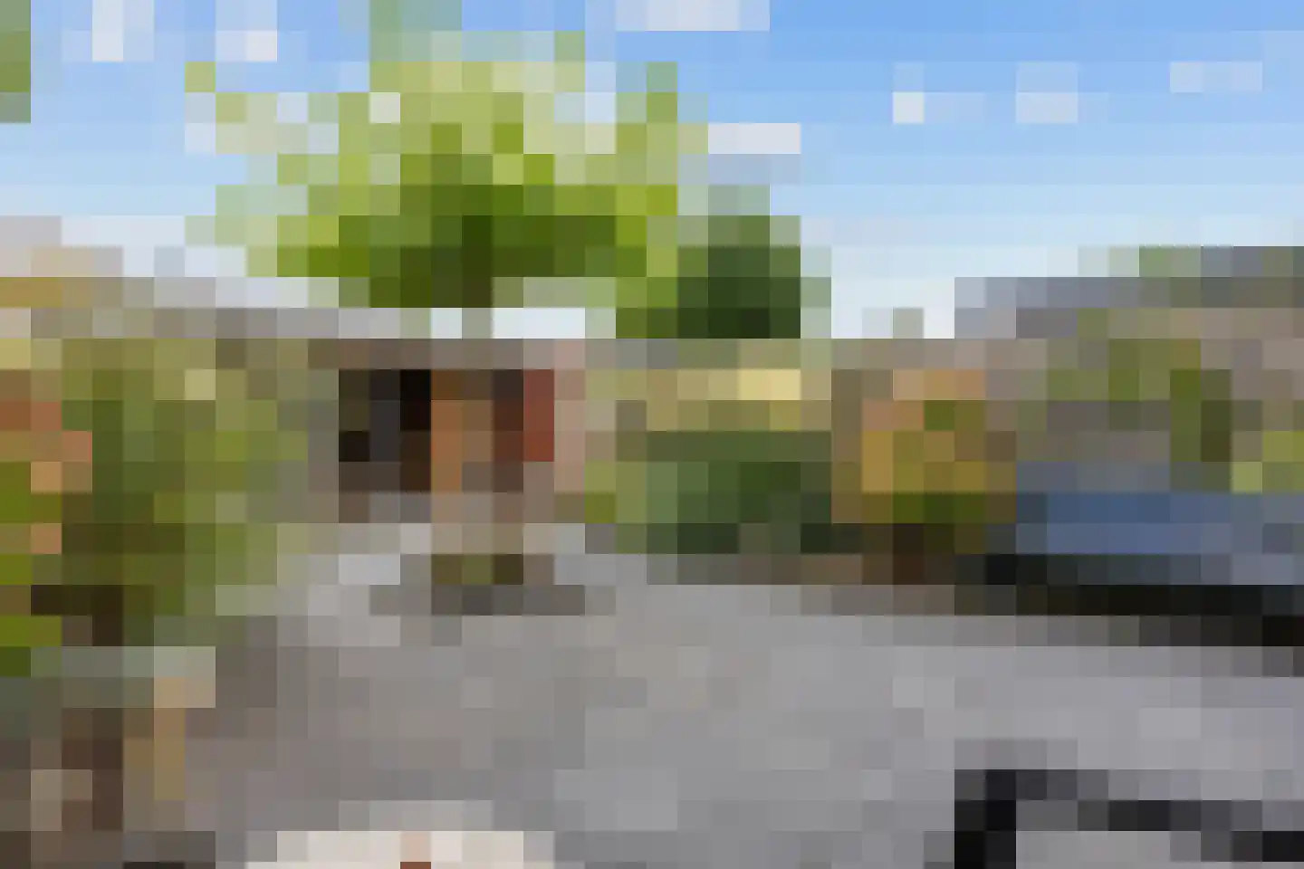 Freesialaan 15 Winsum thumbnail 4