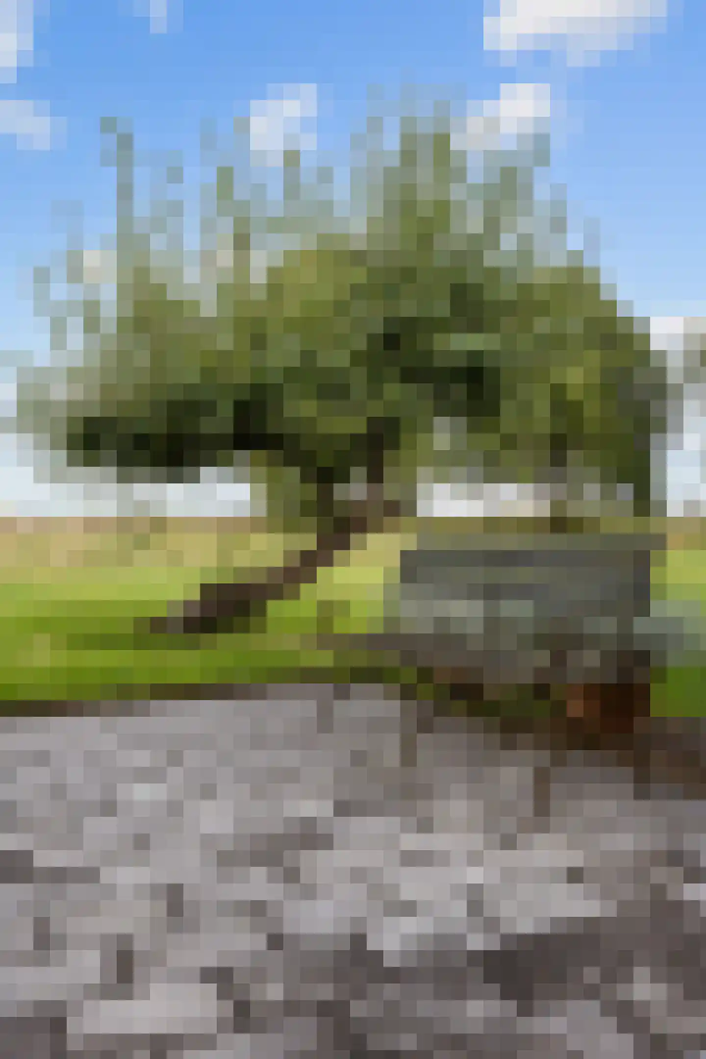 Freesialaan 15 Winsum thumbnail 40