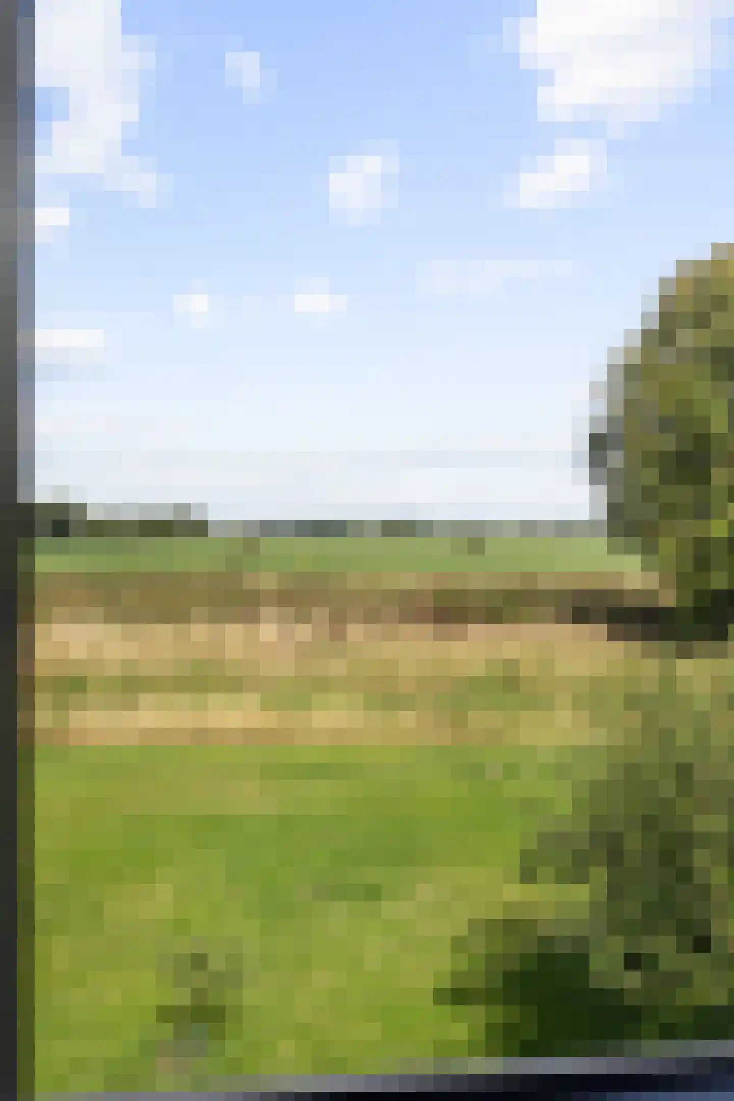 Freesialaan 15 Winsum thumbnail 41