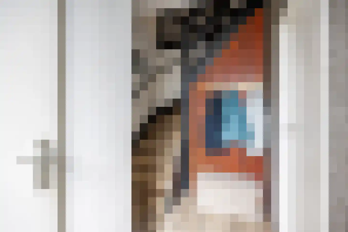 Freesialaan 15 Winsum thumbnail 6