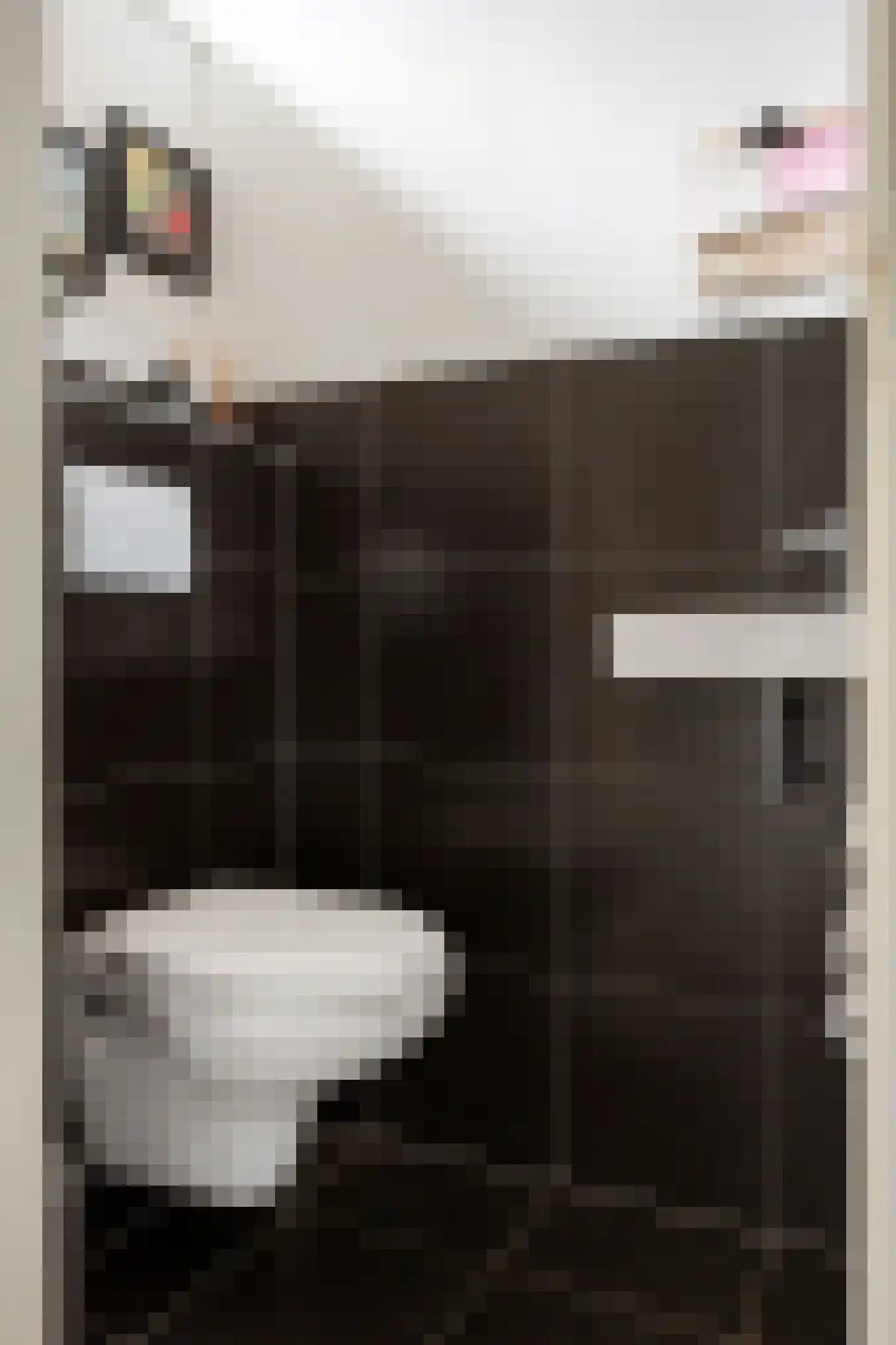 Freesialaan 15 Winsum thumbnail 8