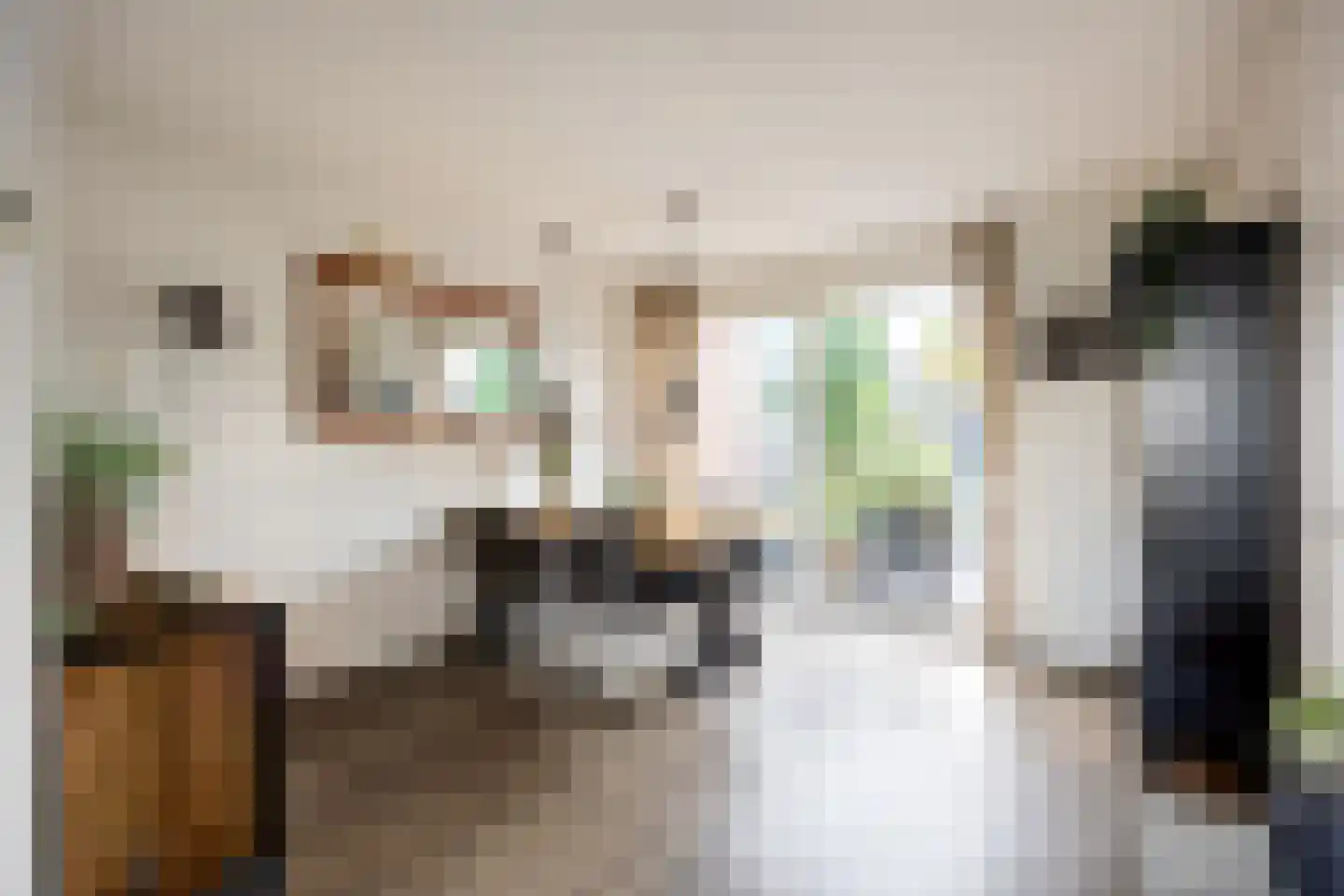 Freesialaan 15 Winsum thumbnail 9
