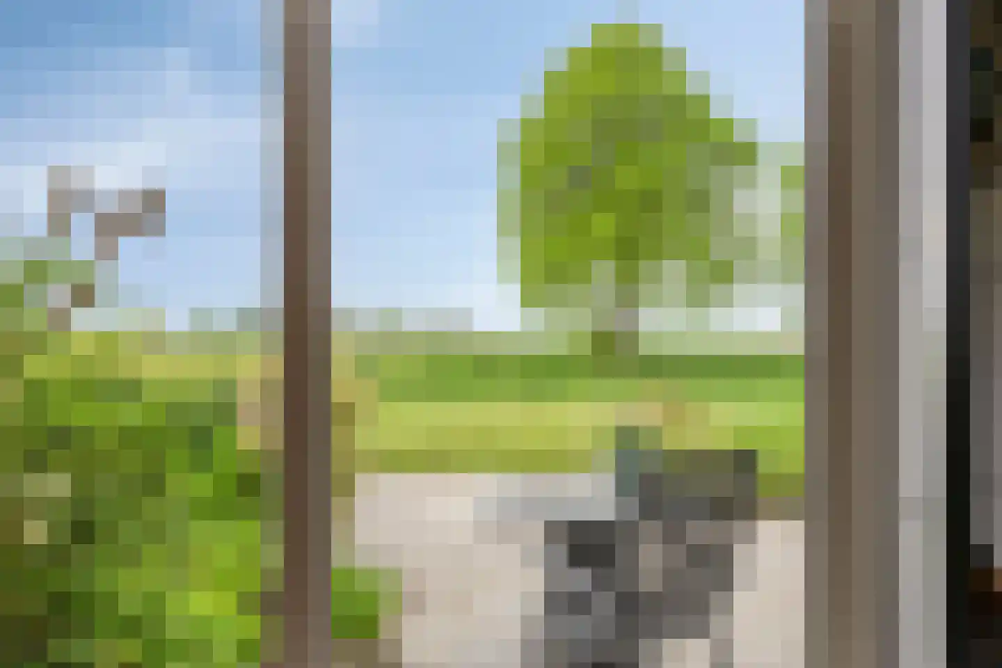 Freesialaan 19 Winsum thumbnail 18
