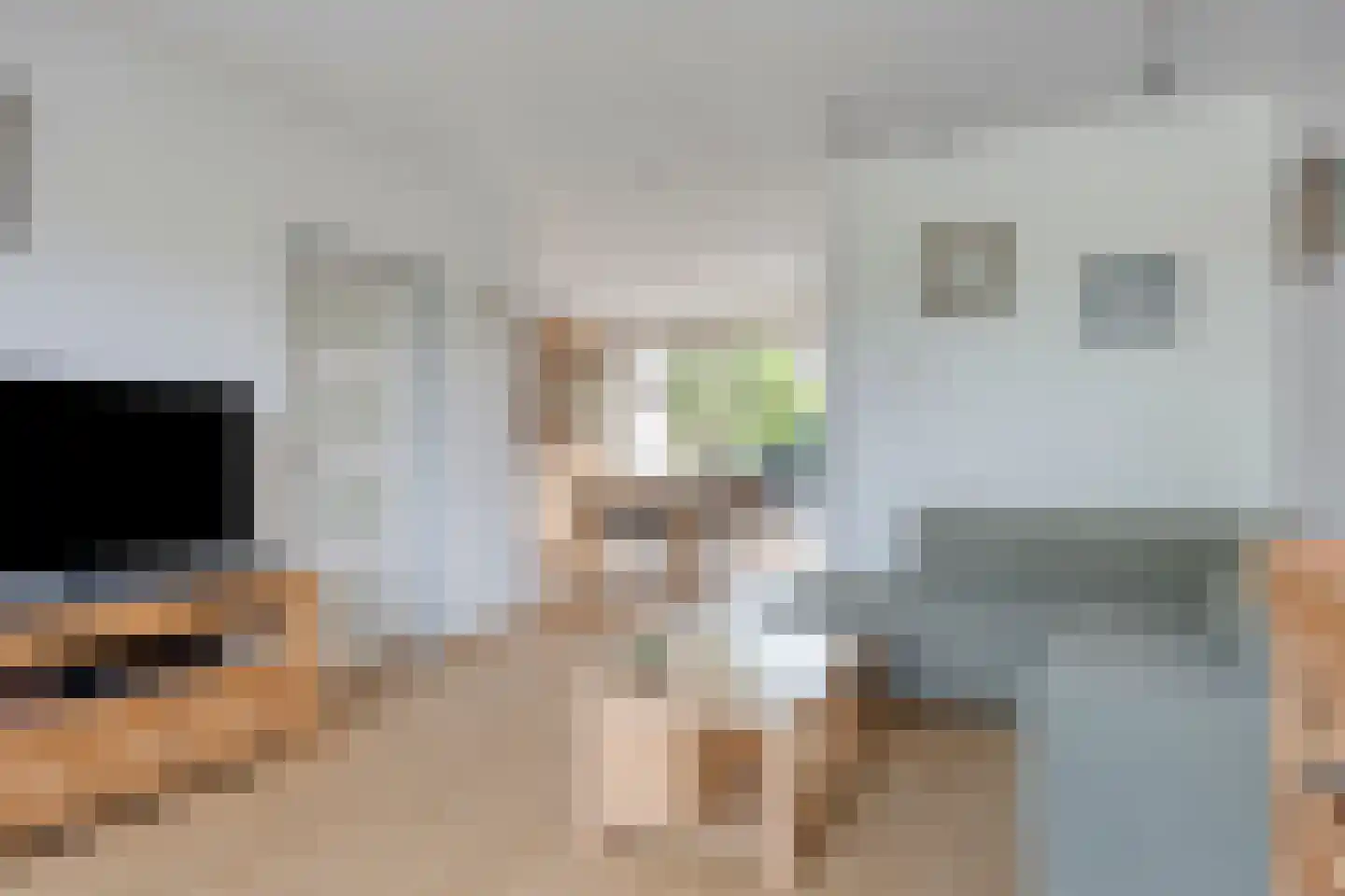 Freesialaan 19 Winsum thumbnail 19