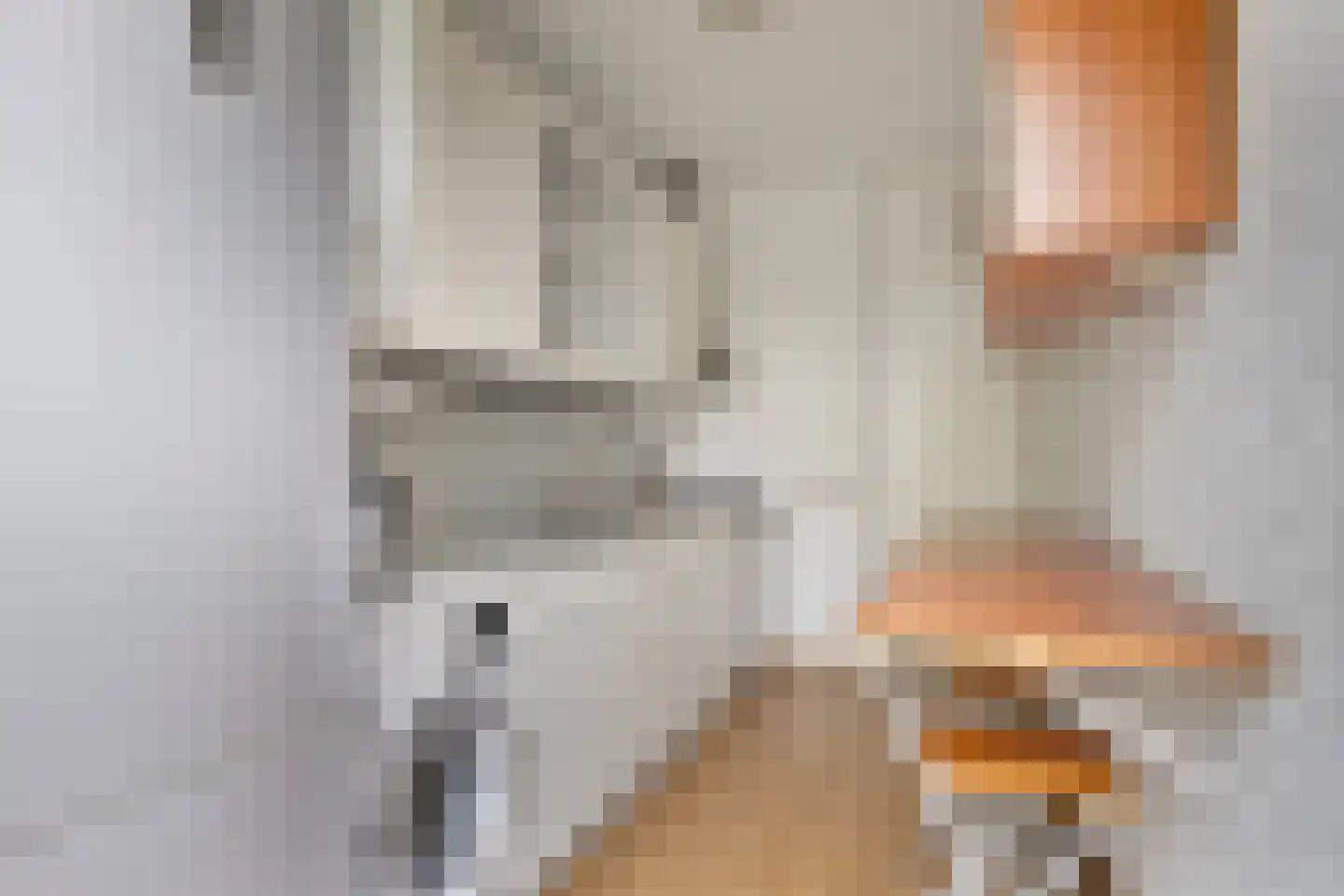 Freesialaan 19 Winsum thumbnail 21