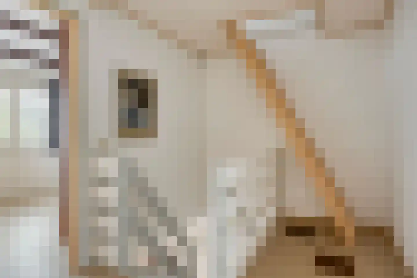 Freesialaan 19 Winsum thumbnail 22