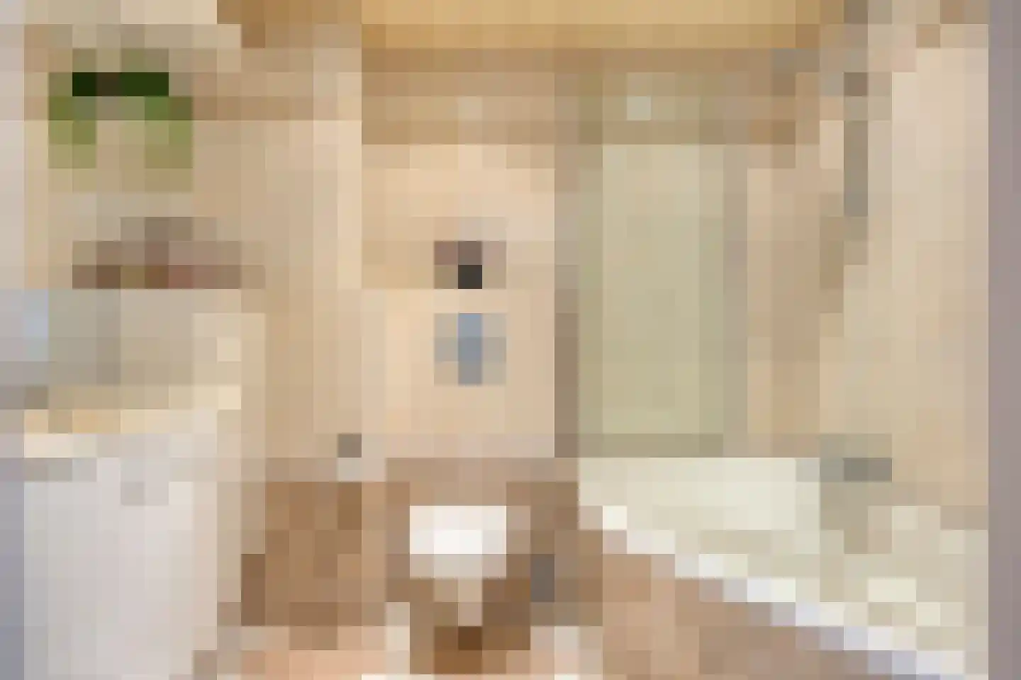 Freesialaan 19 Winsum thumbnail 25
