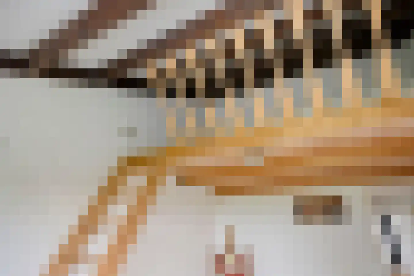Freesialaan 19 Winsum thumbnail 30