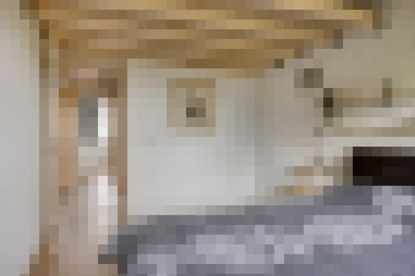 Freesialaan 19 Winsum thumbnail 32