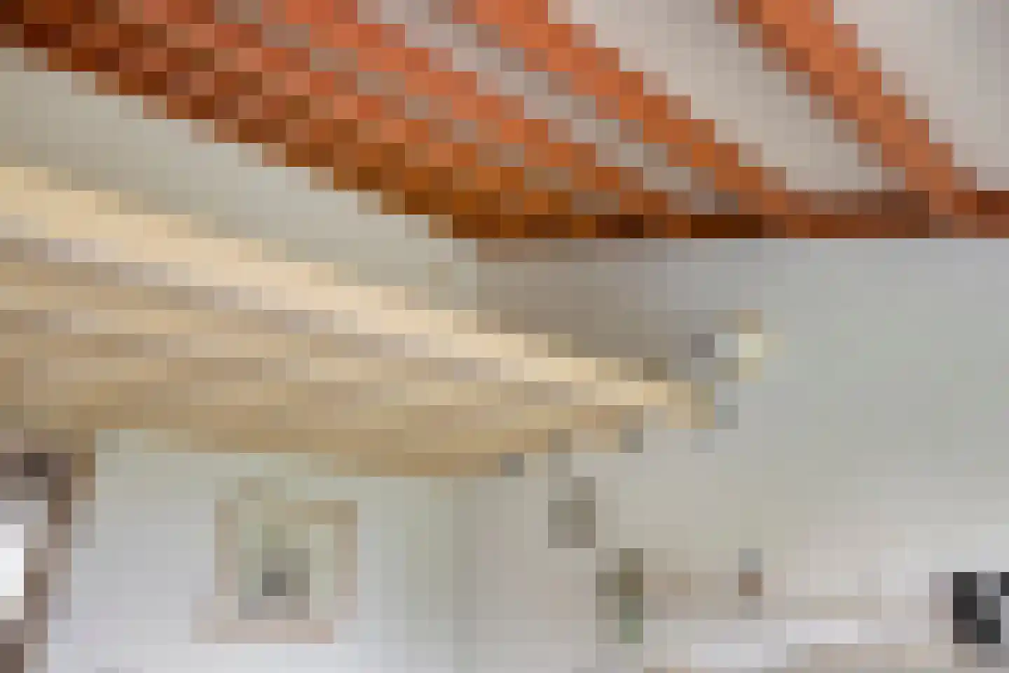 Freesialaan 19 Winsum thumbnail 33