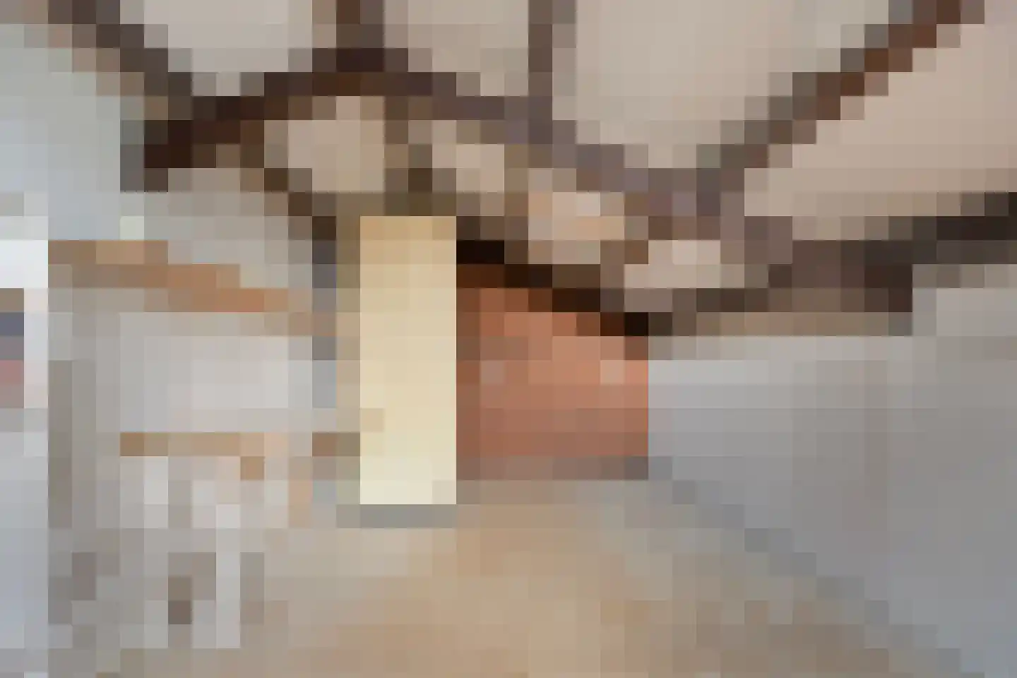 Freesialaan 19 Winsum thumbnail 37