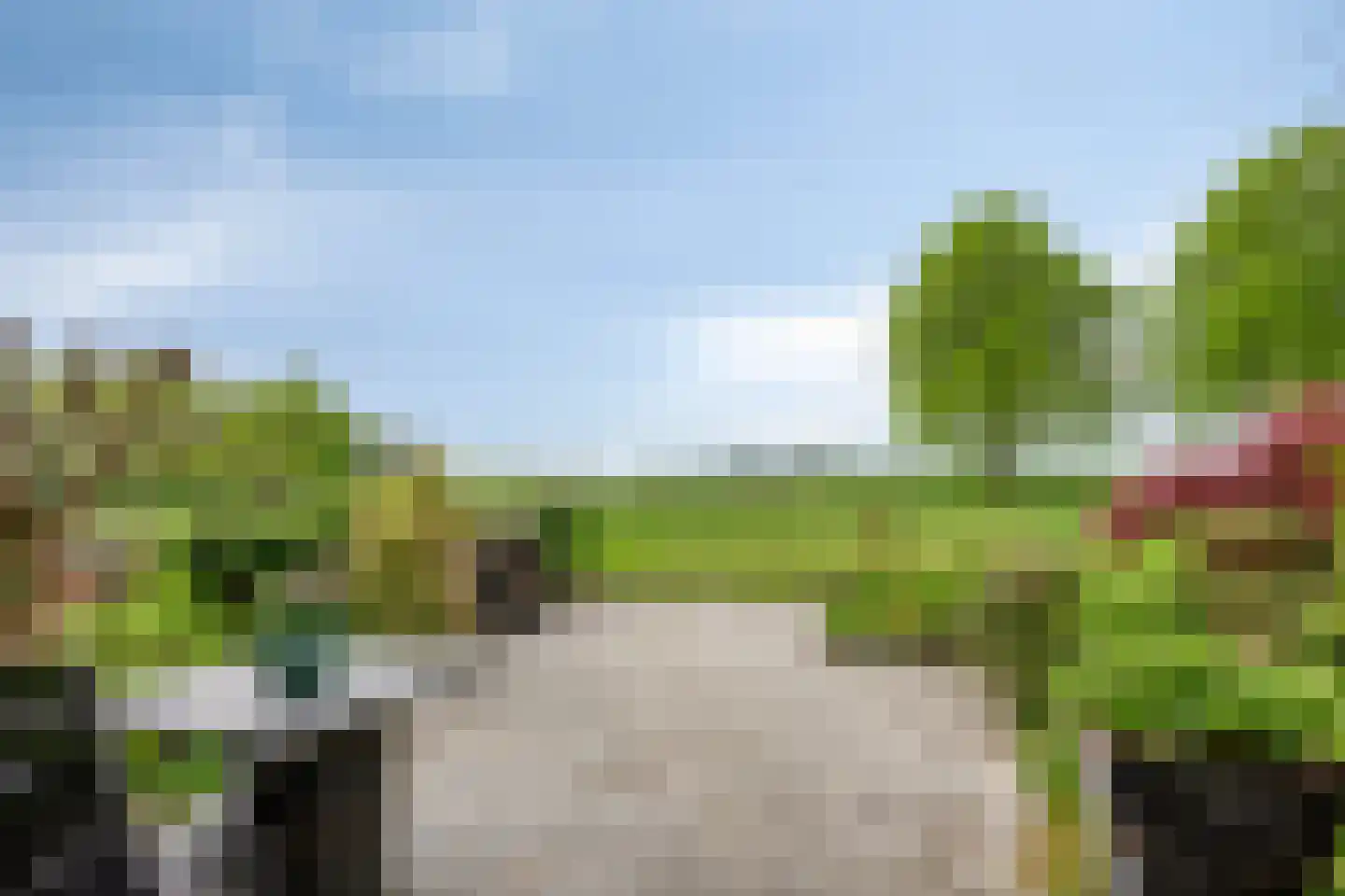 Freesialaan 19 Winsum thumbnail 38