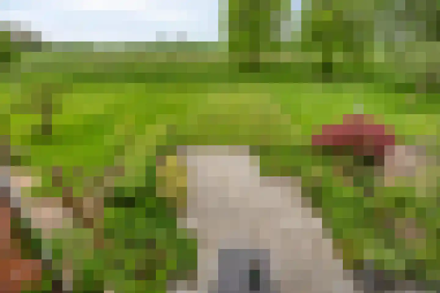 Freesialaan 19 Winsum thumbnail 39