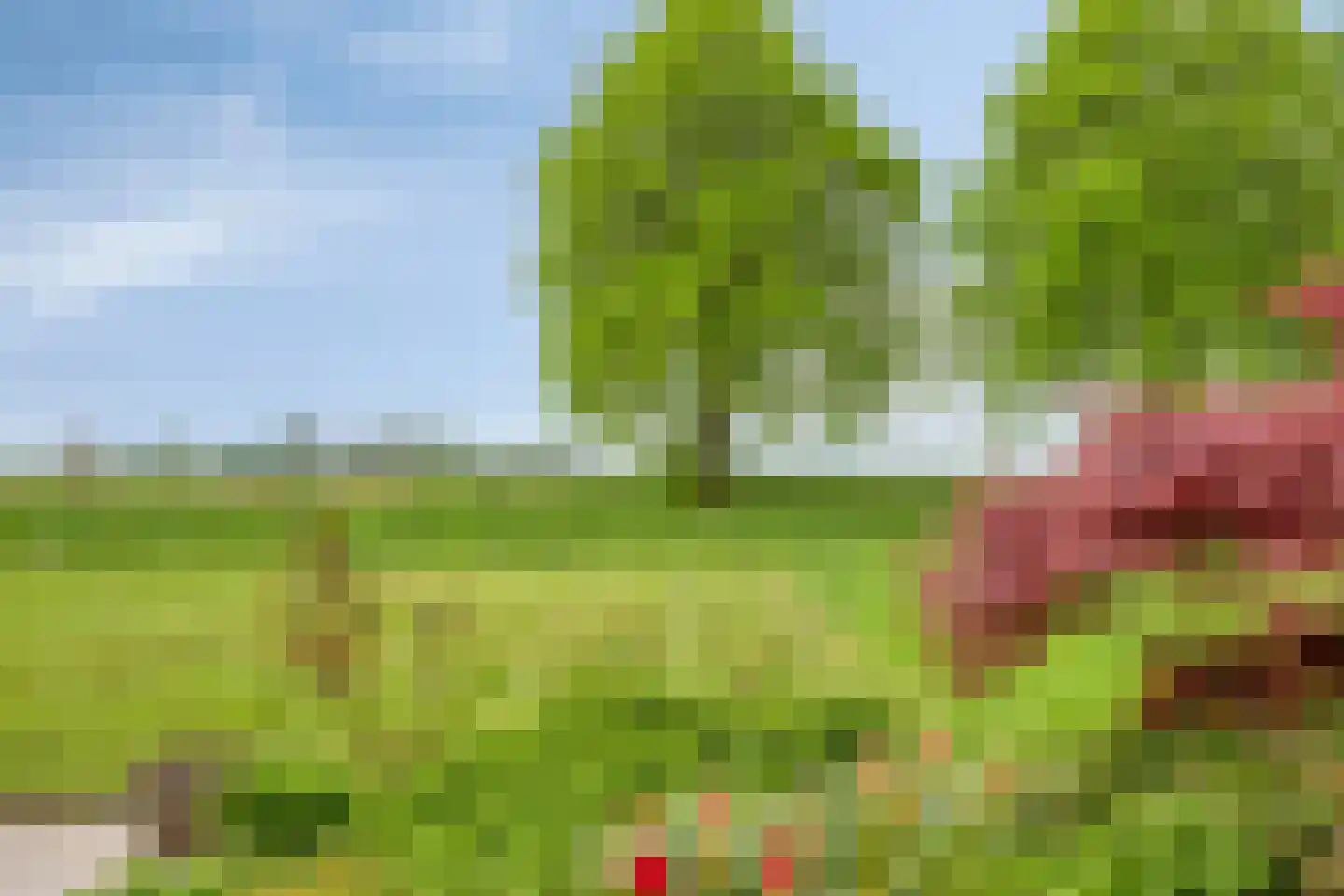 Freesialaan 19 Winsum thumbnail 40