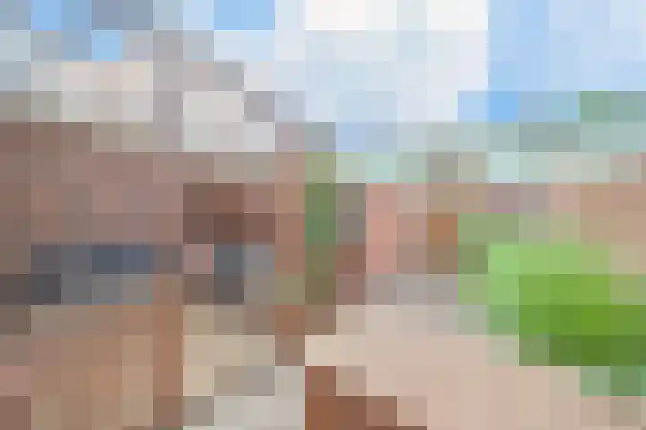 Freesiaplein 4 's-Gravenzande thumbnail 11