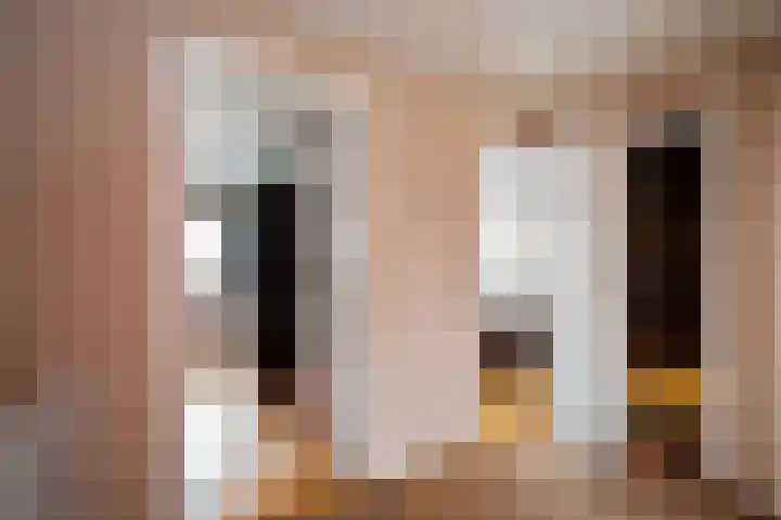Freesiaplein 4 's-Gravenzande thumbnail 17
