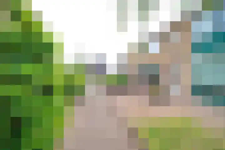 Freesiaplein 4 's-Gravenzande thumbnail 30