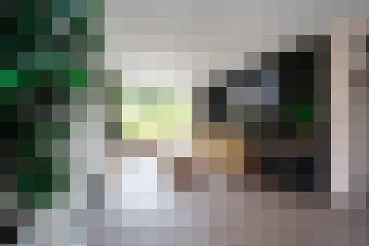 Freesiaplein 4 's-Gravenzande thumbnail 4