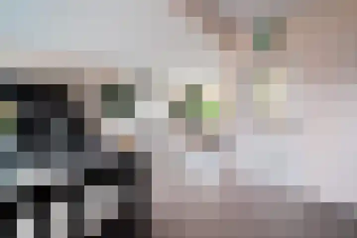 Freesiaplein 4 's-Gravenzande thumbnail 6