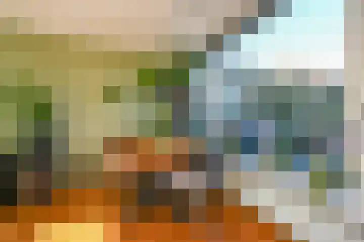 Freesiaplein 5 's-Gravenzande thumbnail 11
