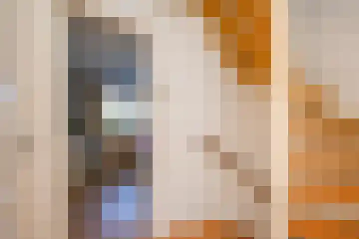Freesiaplein 5 's-Gravenzande thumbnail 13