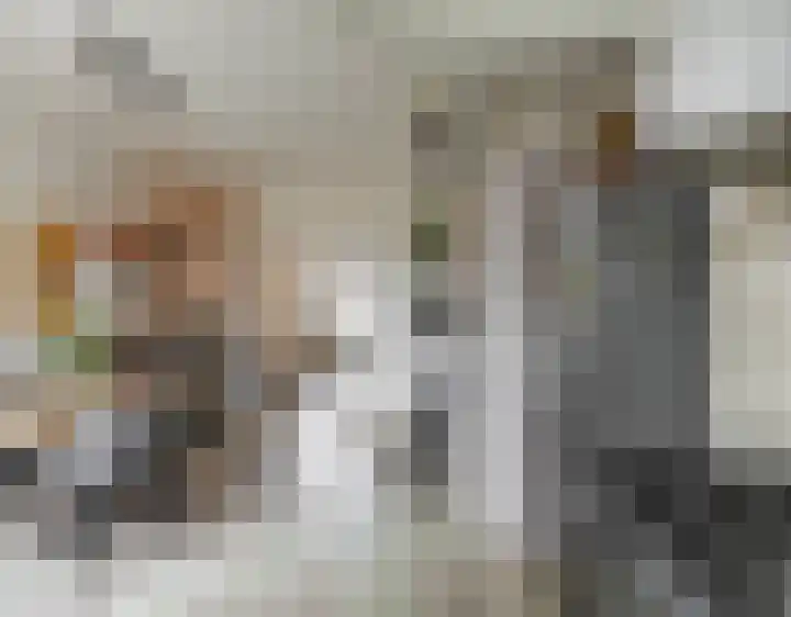 Freesiaplein 5 's-Gravenzande thumbnail 17
