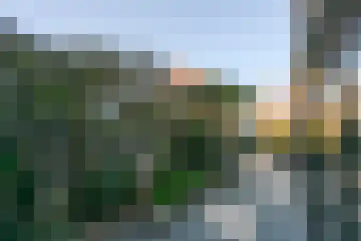 Freesiaplein 5 's-Gravenzande thumbnail 26