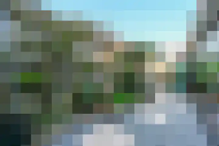 Freesiaplein 5 's-Gravenzande thumbnail 31