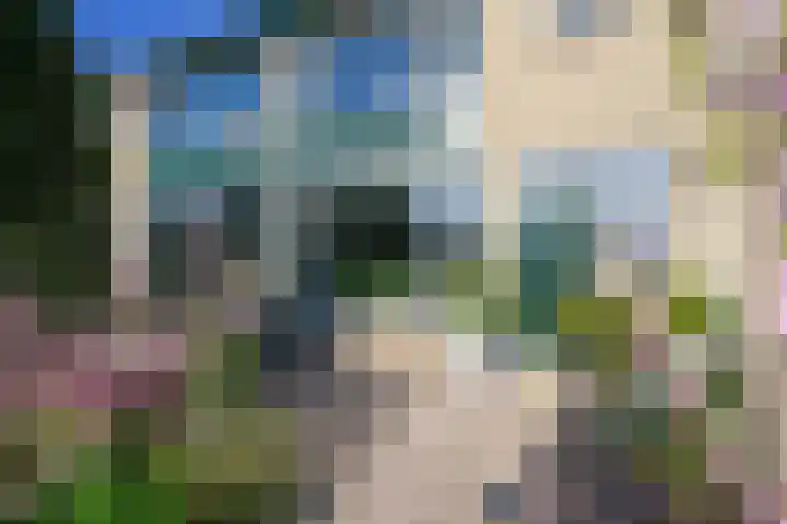Freesiaplein 5 's-Gravenzande thumbnail 32