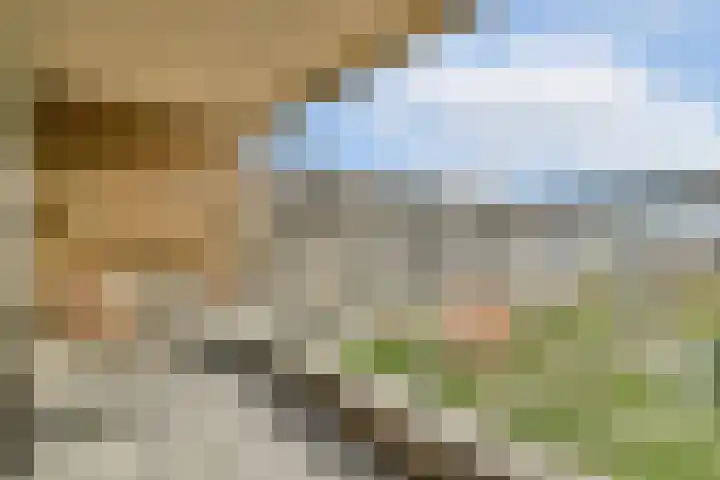 Freesiaplein 5 's-Gravenzande thumbnail 33