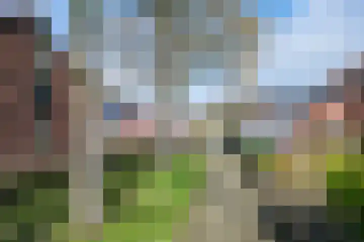 Freesiaplein 5 's-Gravenzande thumbnail 37