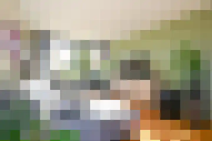 Freesiaplein 5 's-Gravenzande thumbnail 8